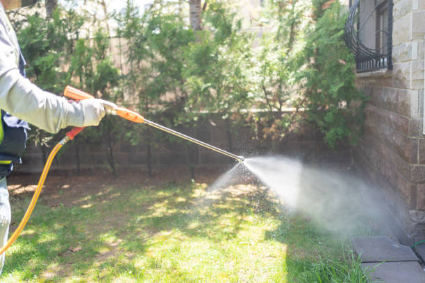 Best Affordable Exterminators  in Linden, AL