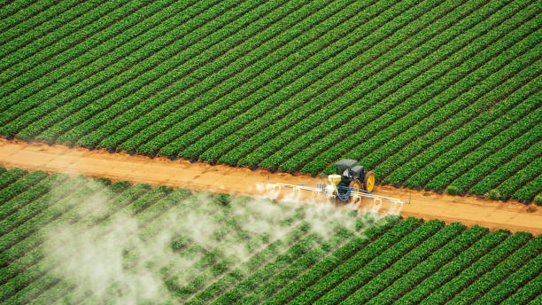Best Pest Inspection Near Me  in Linden, AL