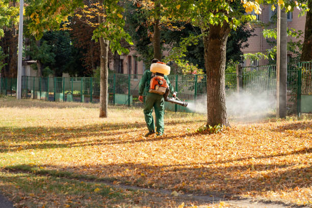 Best Cockroach Control Services  in Linden, AL